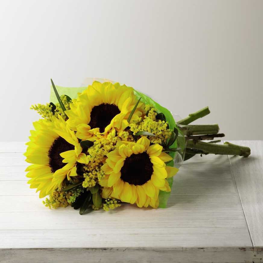 Sunshine Daydream Stunning sunflowers to capture their every attention