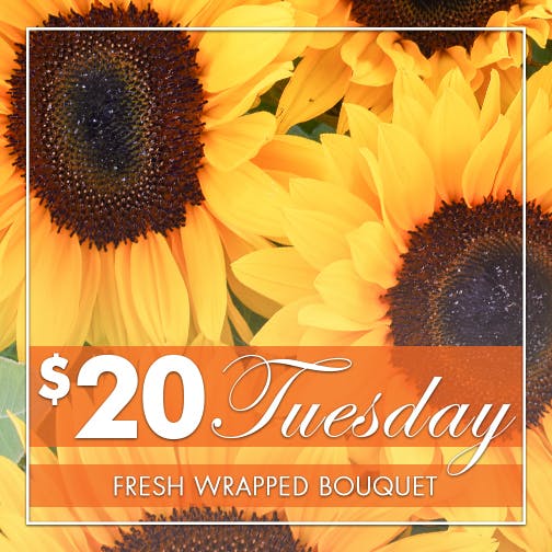 20 Tuesday Sunflowers Wayne (NJ) SameDay Flower Delivery