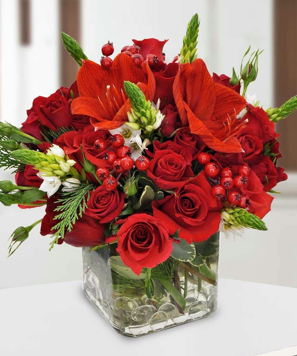 red holiday flowers