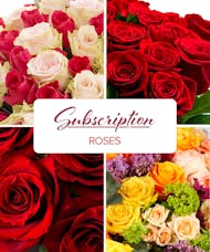 Roses Subscription - Monthly