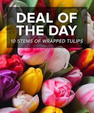 DEAL OF THE DAY, TULIP BOUQUET