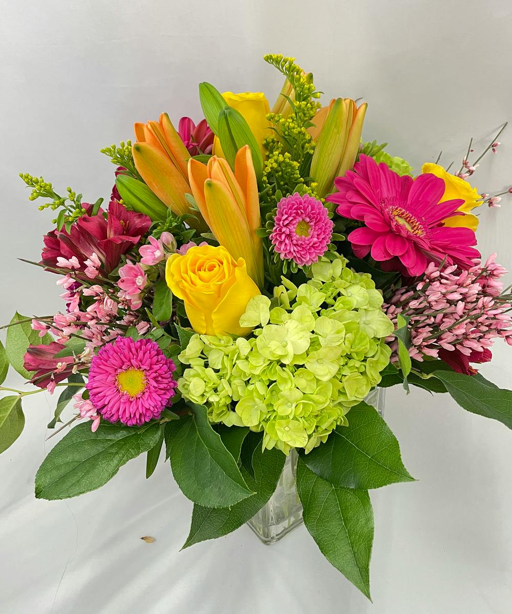 Springtime Dazzler & Compact Wayne Area Florist Bosland's Flowers